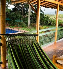 Hacienda Bambusa Pool