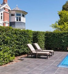 Otahuna Lodge Poolansicht