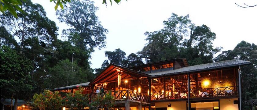 Borneo Rainforest Lodge Außenansicht