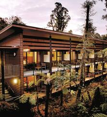 Te Waonui Forest Retreat Außenansicht Zimmer