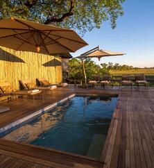 Savuti Camp Pool