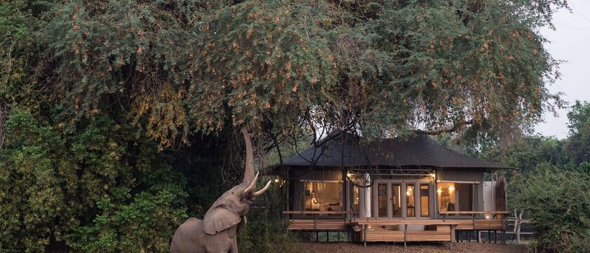 Chikwenya Camp Ansicht