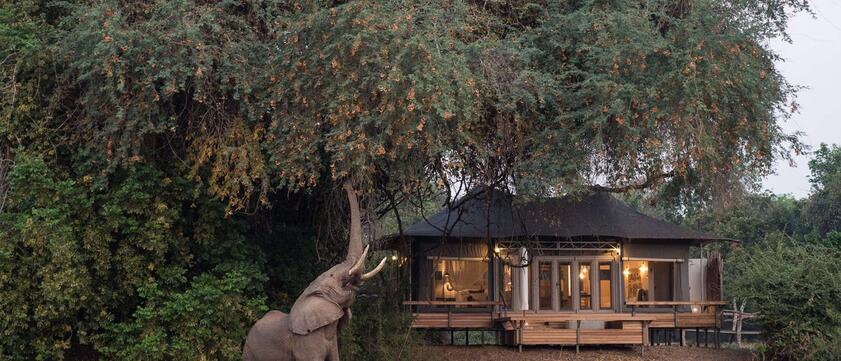 Chikwenya Camp Ansicht