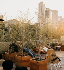 Rooftop Terrasse