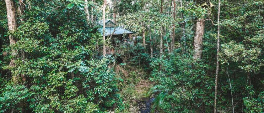 Narrows Escape Rainforest Retreat