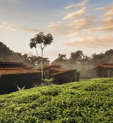 One&Only Nyungwe House Aussenansicht