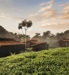 One&Only Nyungwe House Aussenansicht