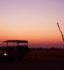 Barclay Stenner Mobile Camp Safari