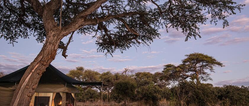 Barclay Stenner Mobile Camp Außenansicht