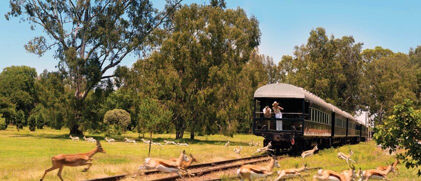 Rovos Rail Außenansicht mit Tieren
