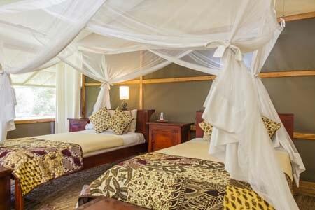 Ishasha Wilderness Camp Doppelzimmer