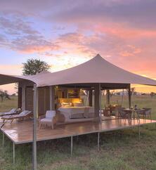 Roving Bushtops -  Tent