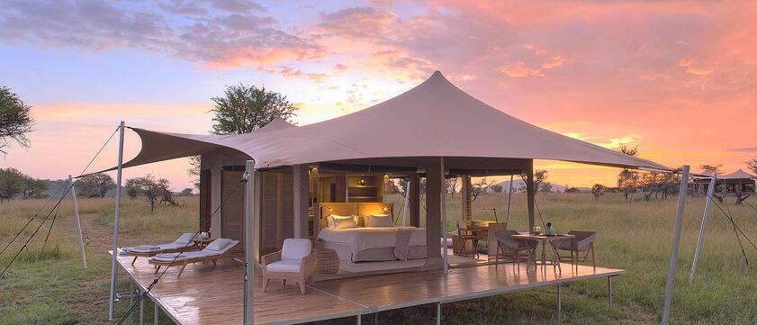 Roving Bushtops -  Tent