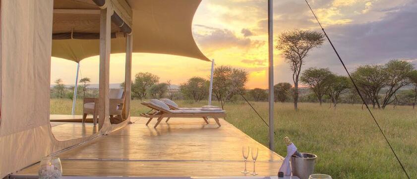 Roving Bushtops - Tub & View