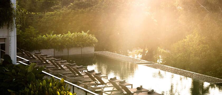 Treeline Urban Resort Pool