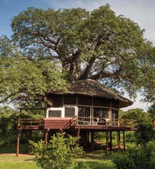 Tarangire Treetops Außenansicht