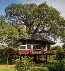 Tarangire Treetops Außenansicht