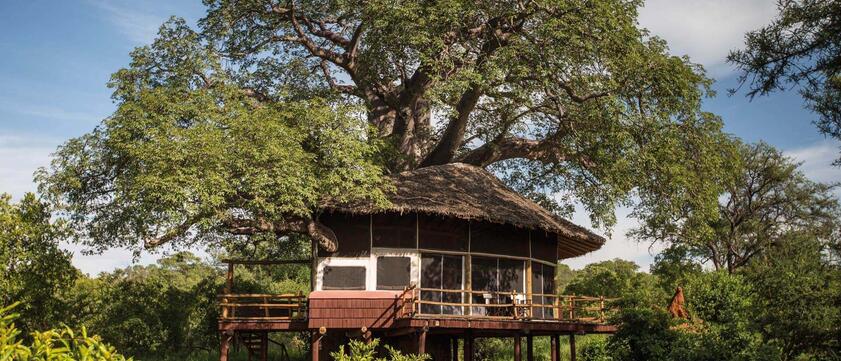 Tarangire Treetops Außenansicht