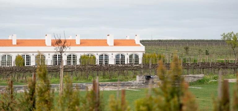 Weinwiese_Quinta