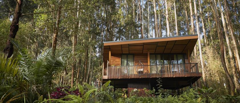 One&Only Gorillas Nest