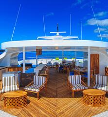 M/C Elite Sonnendeck