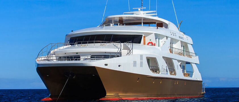 M/C Elite Außenansicht