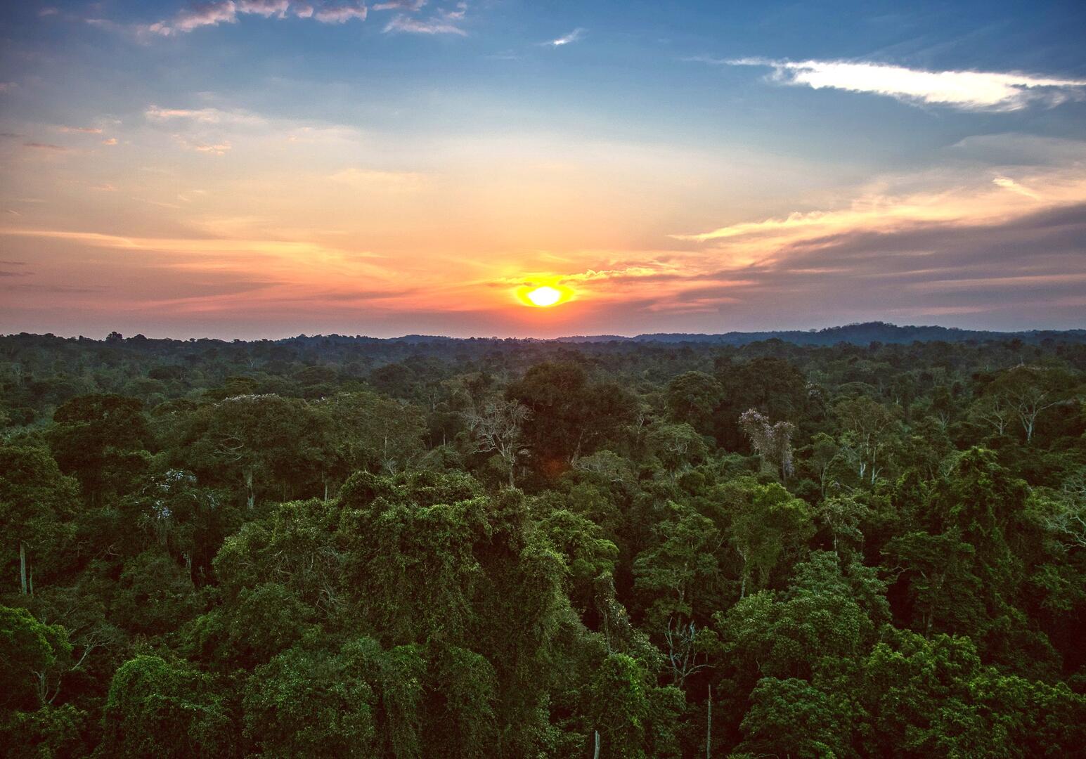 Wildlife-Abenteuer in Brasilien