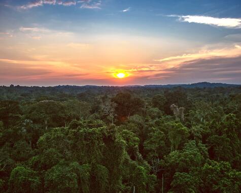 Wildlife-Abenteuer in Brasilien