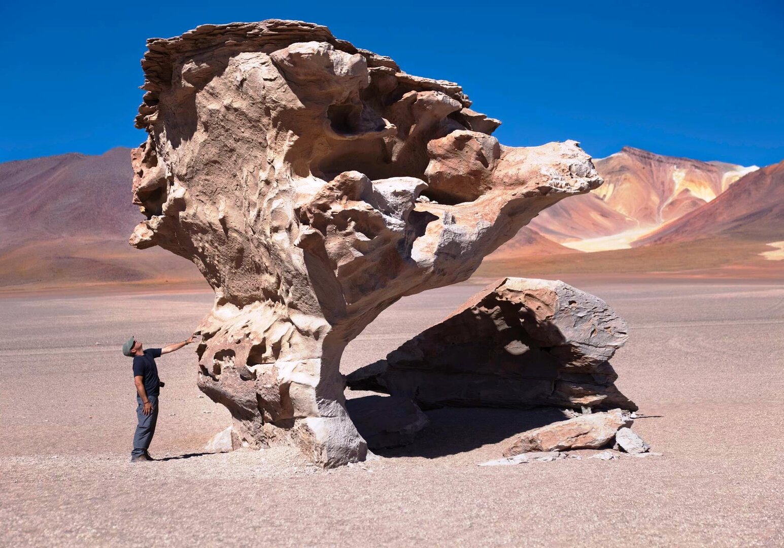 Bolivien Árbol de Piedra Baum aus Stein