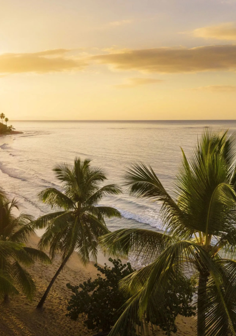Dominikanische Republik - Beach