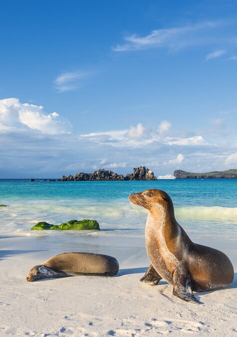 Ecuador - Family & Kids in Ecuador - Beach