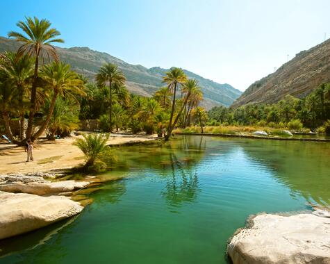 Oman entdecken: Wadi Bani Khalid