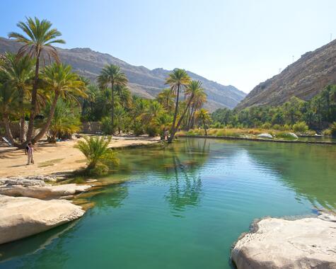 Oman entdecken: Wadi Bani Khalid