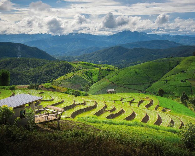 Thailand Reisterrassen in Chiang Mai