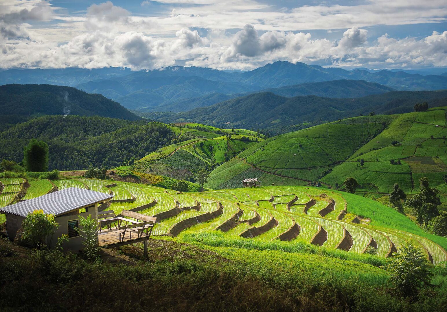 Thailand Reisterrassen in Chiang Mai