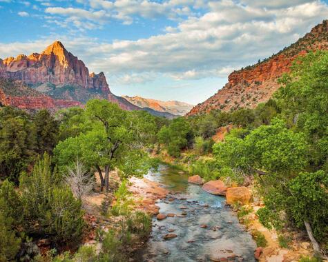 USA - Zion Nationalpark The Watchman