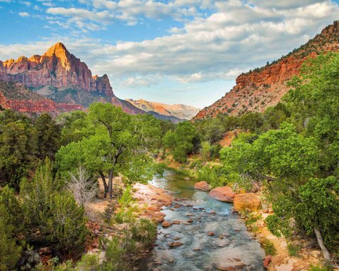 USA - Zion Nationalpark The Watchman