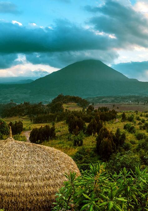 Best of Ruanda - Wilderness Bisate