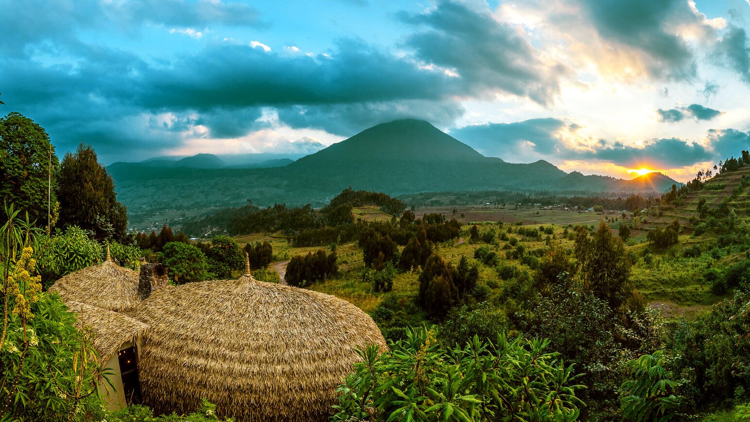 Best of Ruanda - Wilderness Bisate