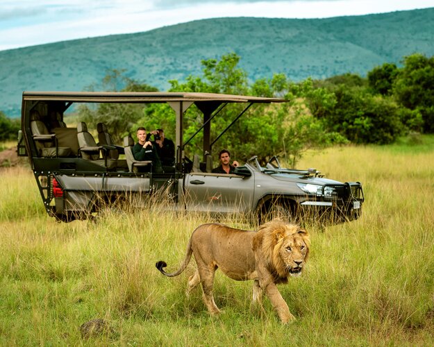 Best of Ruanda - Safari