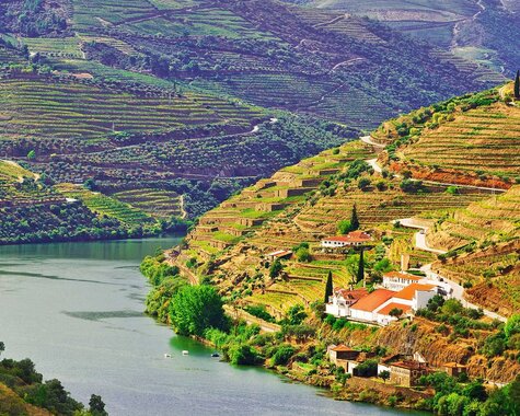 Portugal Wein und Genuss Weingüter im Douro-Tal am Fluss