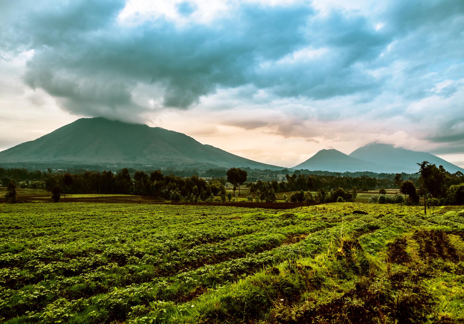 Ruanda Virunga-Vulkane