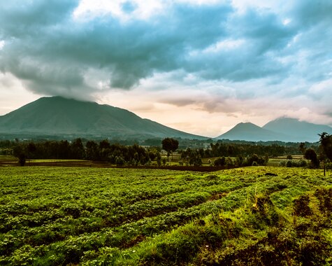 Ruanda Virunga-Vulkane