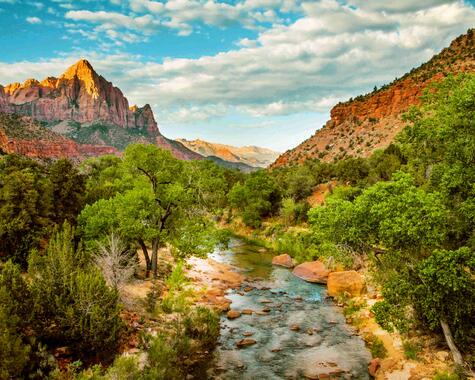 USA - Zion Nationalpark The Watchman