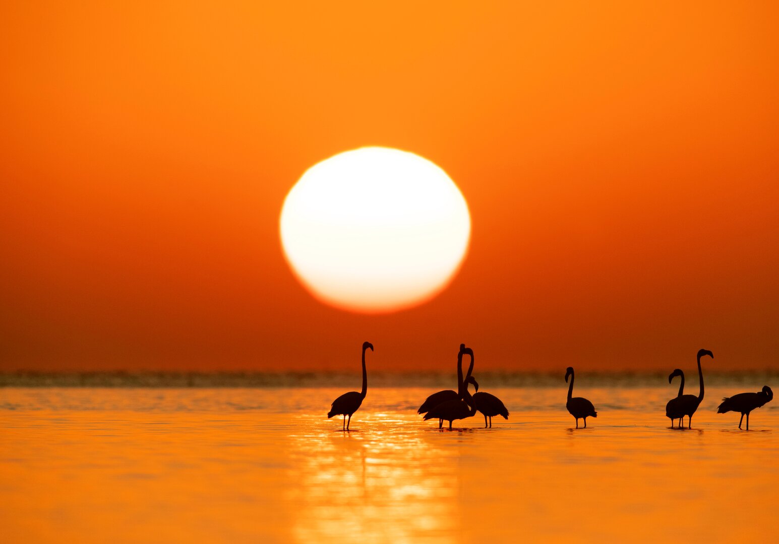 Sonnenuntergang Bahrain