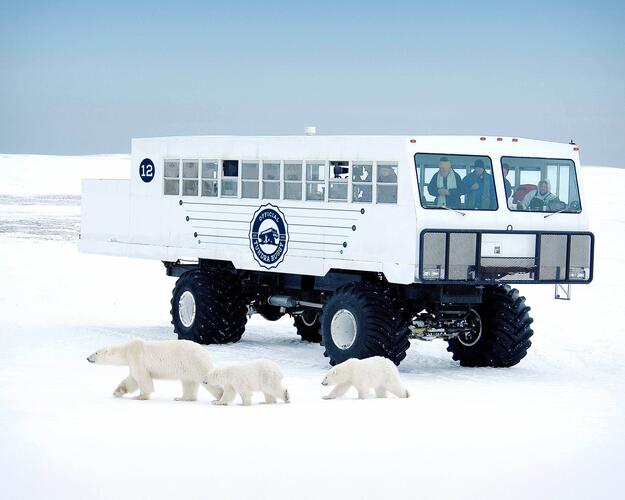 Tundra Buggy