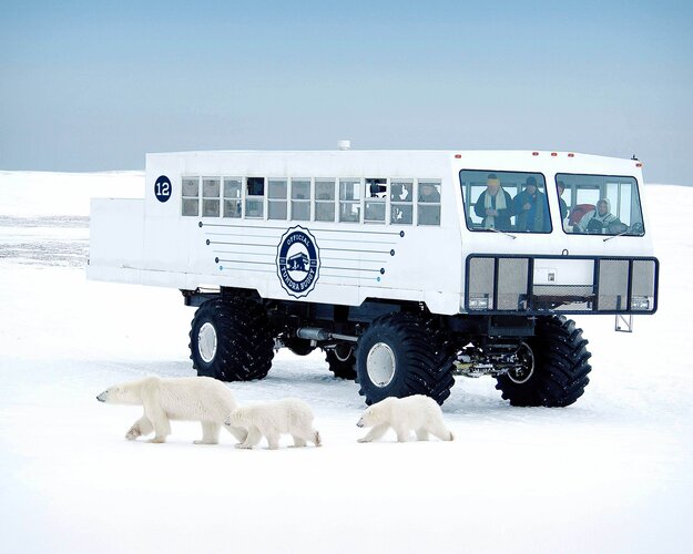 Tundra Buggy