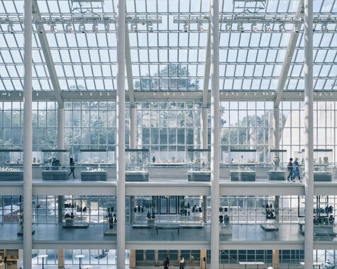 New York erleben Museum of modern Art