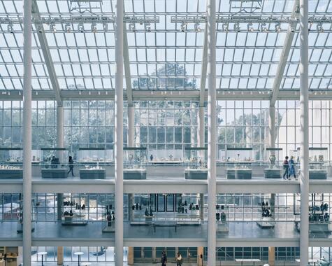 New York erleben Museum of modern Art