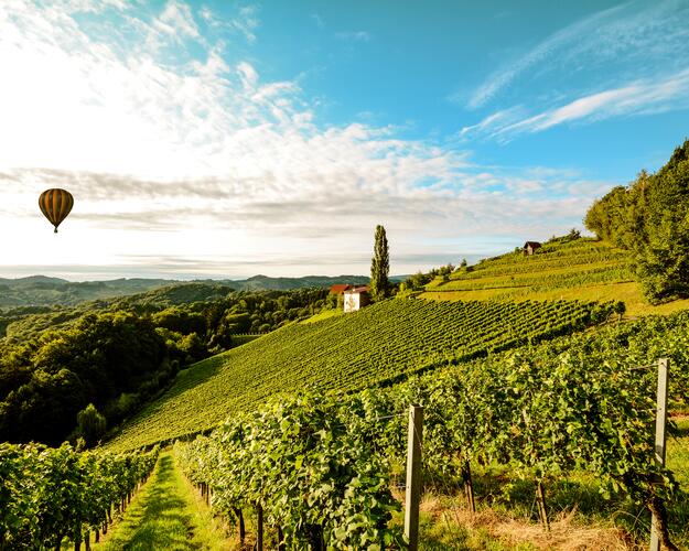 Heißluftballon von Ola Portugal - wunderschönes Alentejo in Monzarez
